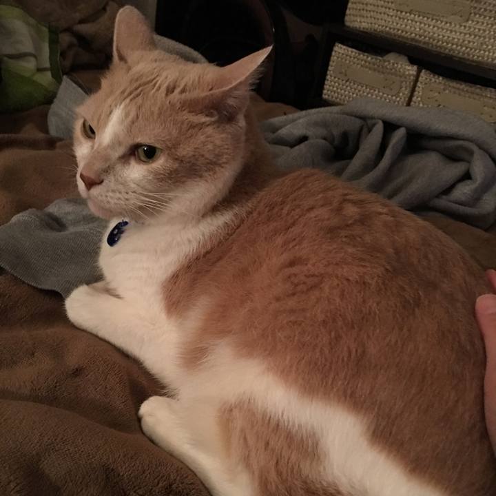 9a424e84 6f6e 4f32 961d 928cbac9211e