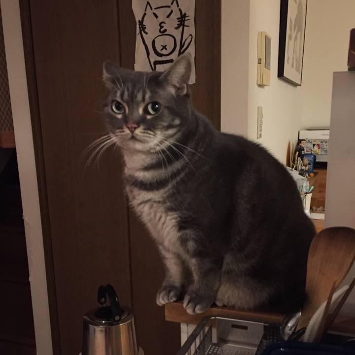 9a42acd7 e666 46bc 916b 85ac7285b095