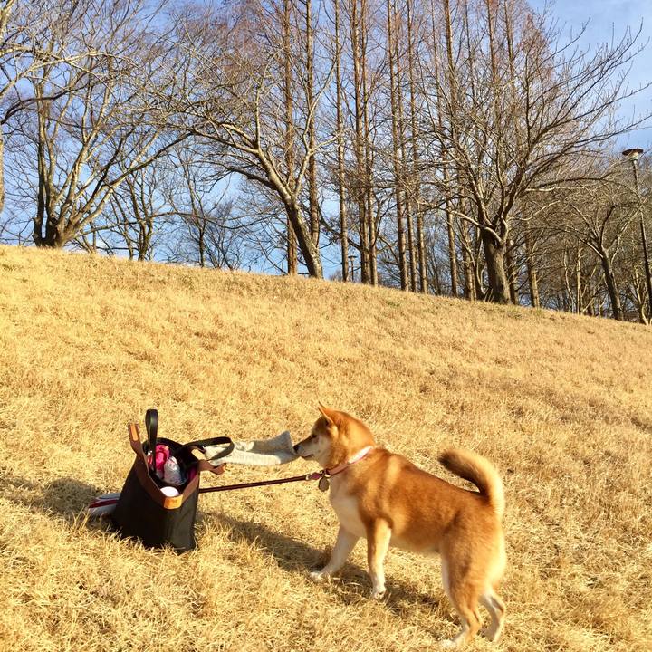 9a42b837 6ca0 48a8 bfc1 dd73000add0f