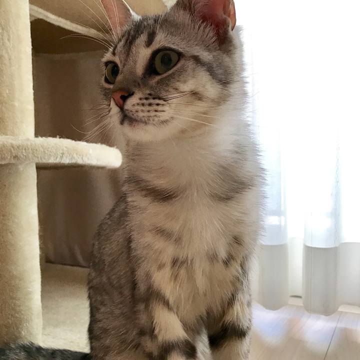 9a42dc0e 1873 4ea7 a492 888107350cfc