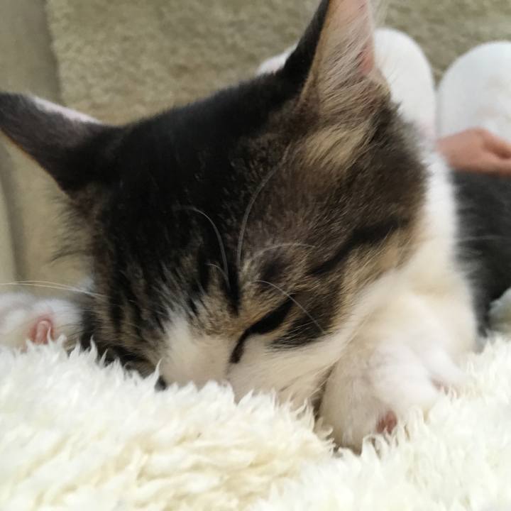 9a437aa2 3ce1 4d7e 9935 32721a51e3bb