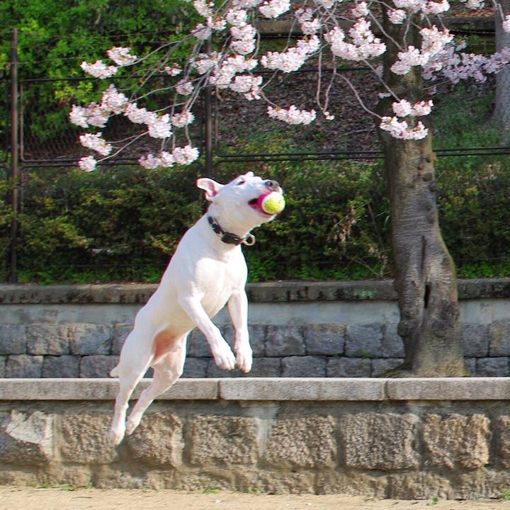 9a43f815 f3ef 4e08 9277 eff28daccff2