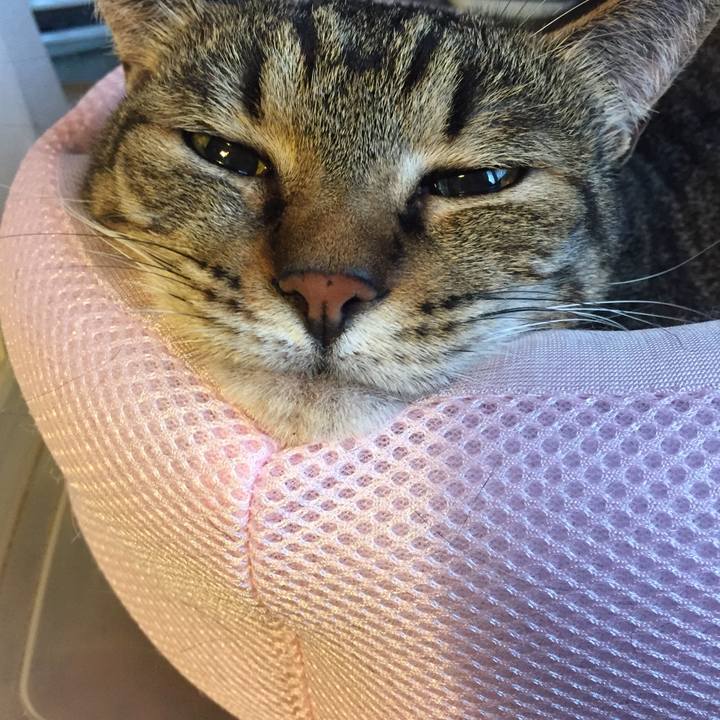 9a440abe ebaf 4025 87af 0346bf19872a