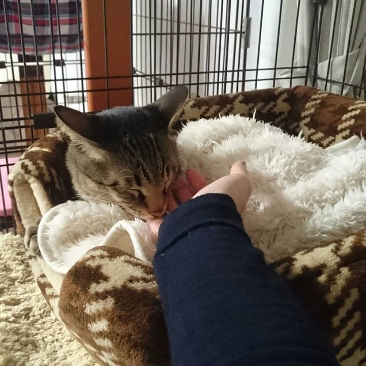 9a44c474 bb42 4dbb b7b7 5bf07a26d1e7