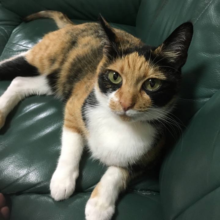 9a457a21 9f4d 4d2f 8684 1ea75b0e03d3