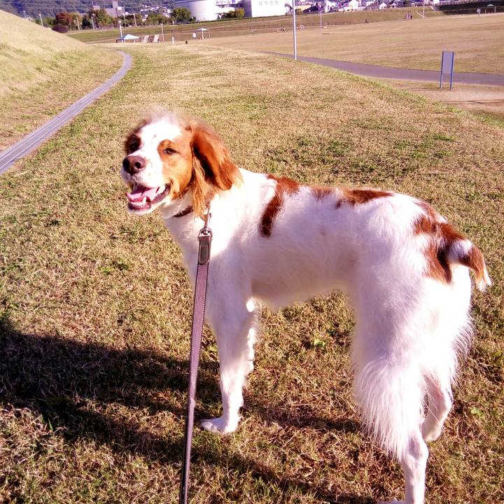 9a4580e4 7aab 4935 81f0 b51bc1e0035b