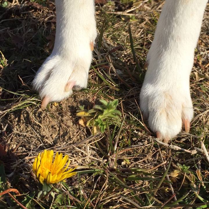 9a45a498 b542 4e8d 85ae d4f4fdba1b1c