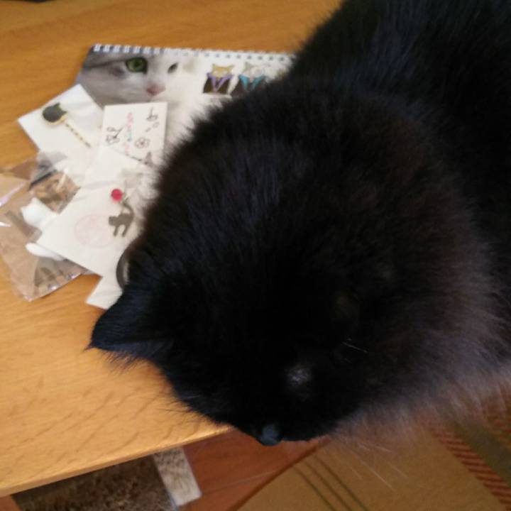 9a45eb2d fbde 49c3 8baa c80e44b1d3cb