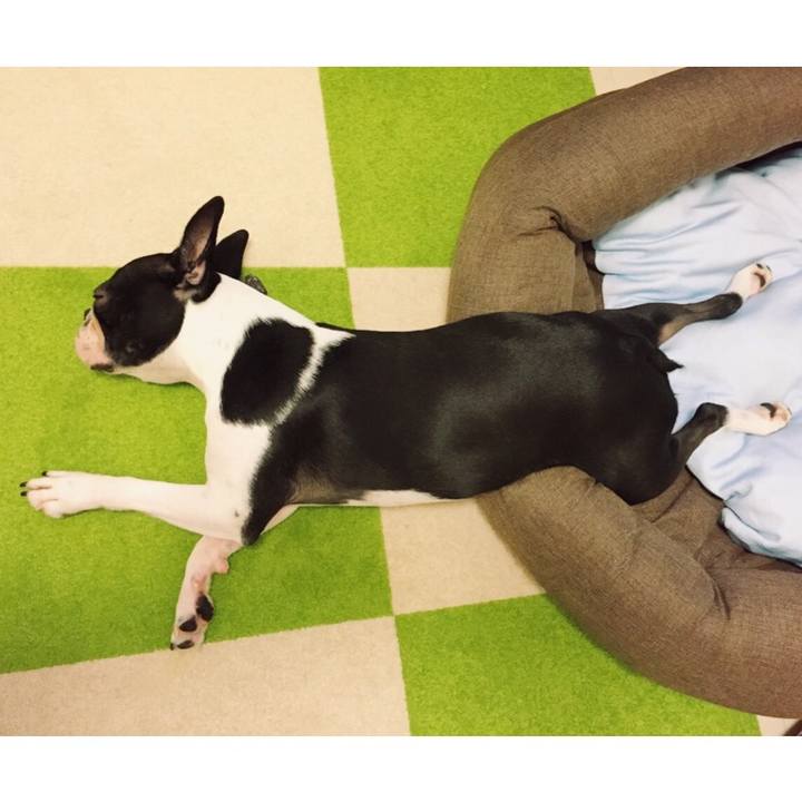 9a46f202 431b 41b8 96ab d842476999dc