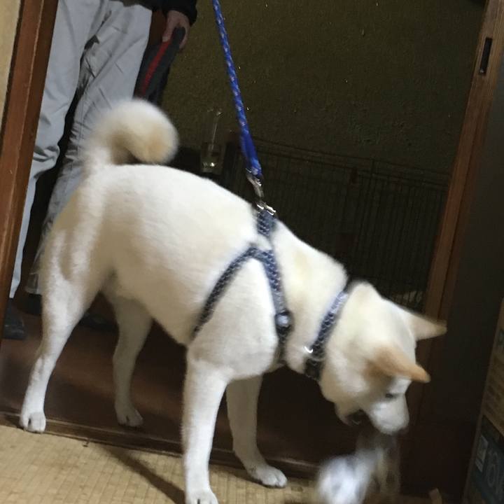 9a47405e 8139 4b52 8267 4715bc2a3f4b