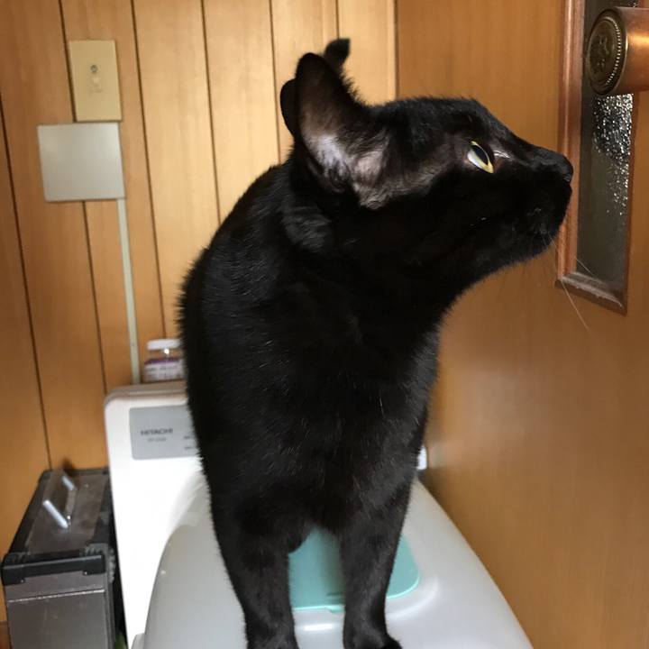 9a480575 98dd 46ba 8431 a6ae66df1cc4