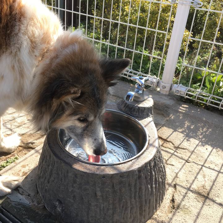 9a488933 4914 4923 aec4 d37ccffeade9