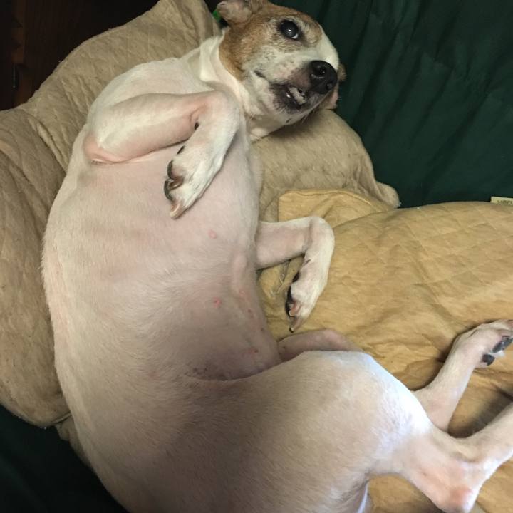 9a48b739 6c0d 4023 92a5 895d2ba921cd