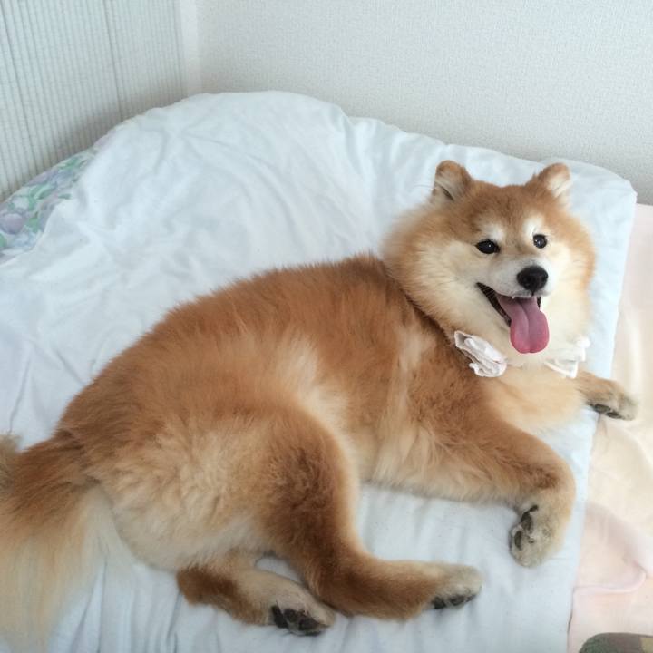 9a4a29ad 7760 42d0 b646 0e62db375583