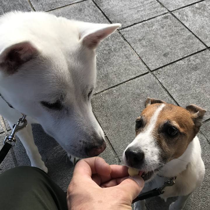 9a4a6b02 322c 4f08 958f ff94eefe7fe7