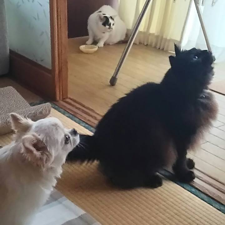 9a4a8ea9 34ee 4f09 8304 c6a8e4f988bc