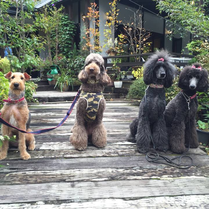 9a4b30be 7b97 4615 aee0 c6ca6dafa95e