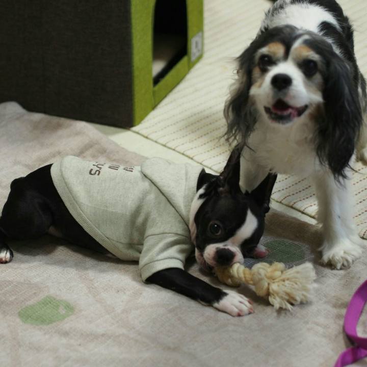 9a4bfc40 3b05 47e4 9088 9fb23310f755