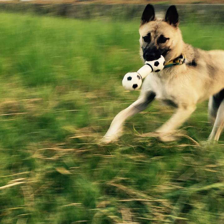 9a4c094b 7dd6 418e a531 7157ea22f13d