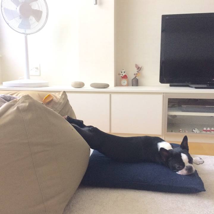 9a4d650f 8ca6 4839 820e 3bc89c71f7ab