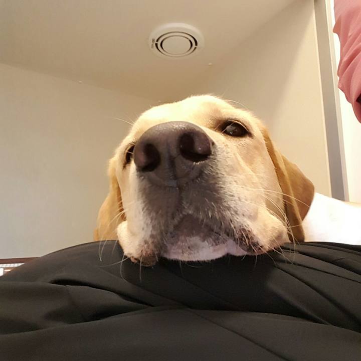 9a4d683c ab3c 4d1f 9890 108474ac4c36