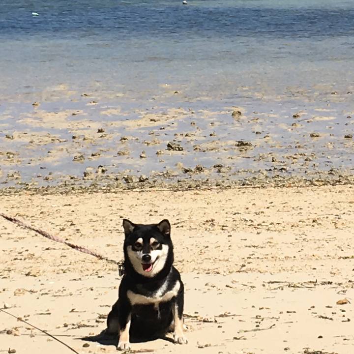 9a4e44cf 97f5 40be a28b 2be3e766f86a