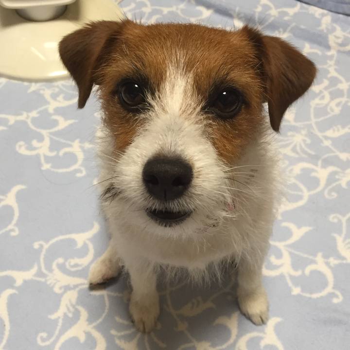 9a501b47 6a67 466a 9396 c7ef81a46cc8