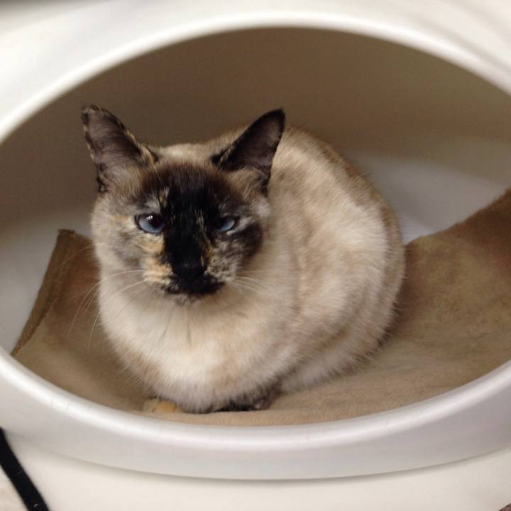 9a50b78b caff 4be8 8cf3 70a5103ce6ce