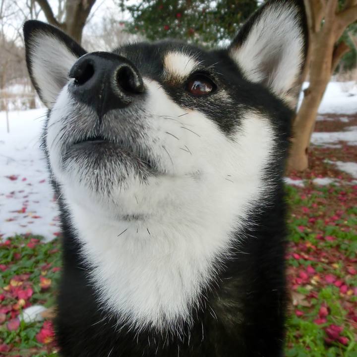 9a50e3dc 41fe 4292 aae5 61eca96dd4d5