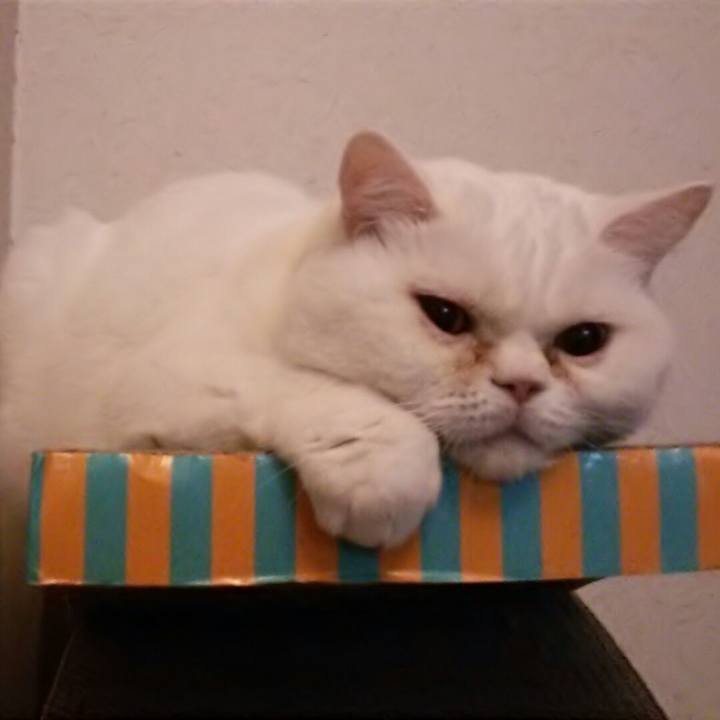 9a50ff2b 5d6b 4913 80ee abf1af126db6