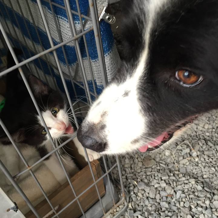 9a510cce 117a 4ea9 8ac9 aa34e9634487