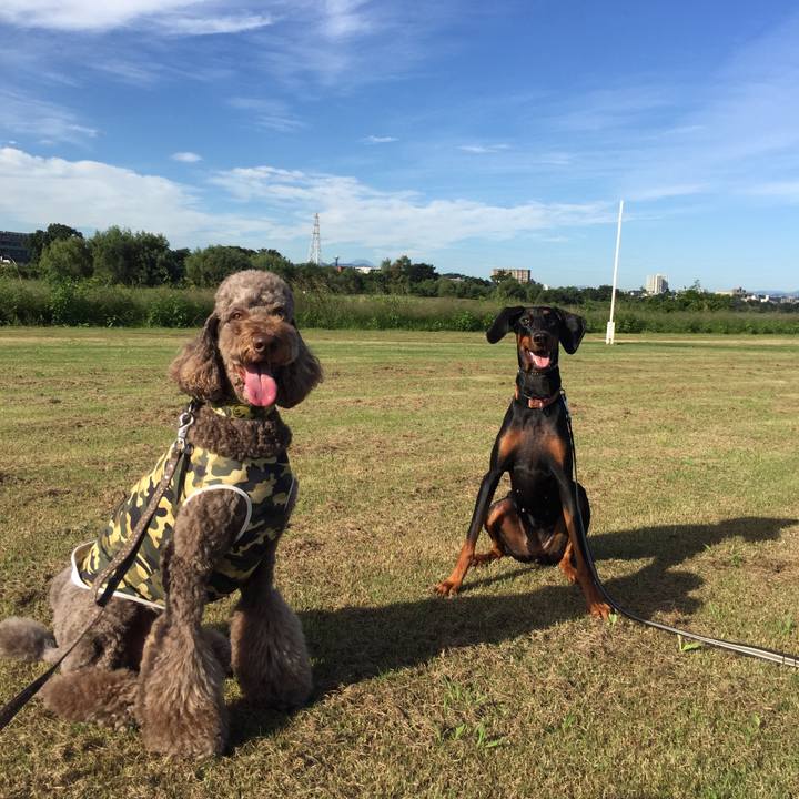 9a51ca08 b18e 4a04 9101 579864c5108f