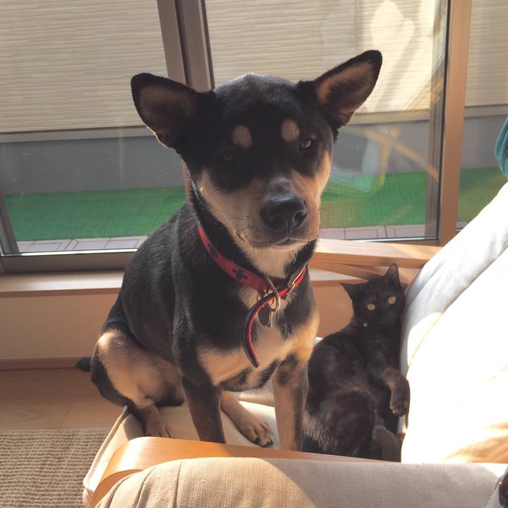 9a51de49 f01b 4043 aa42 fa43af19329b