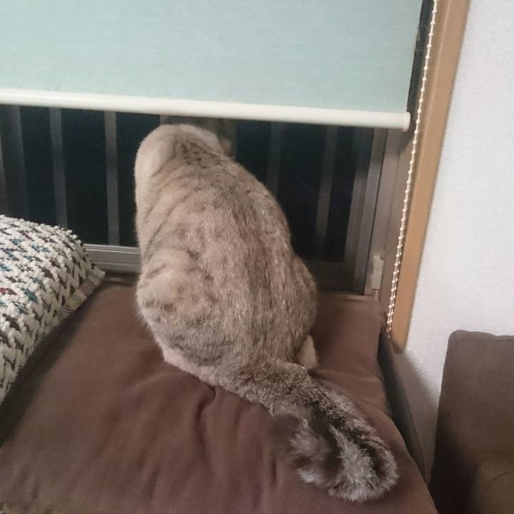 9a523670 cd83 478b 8045 c0670a3e1c5a