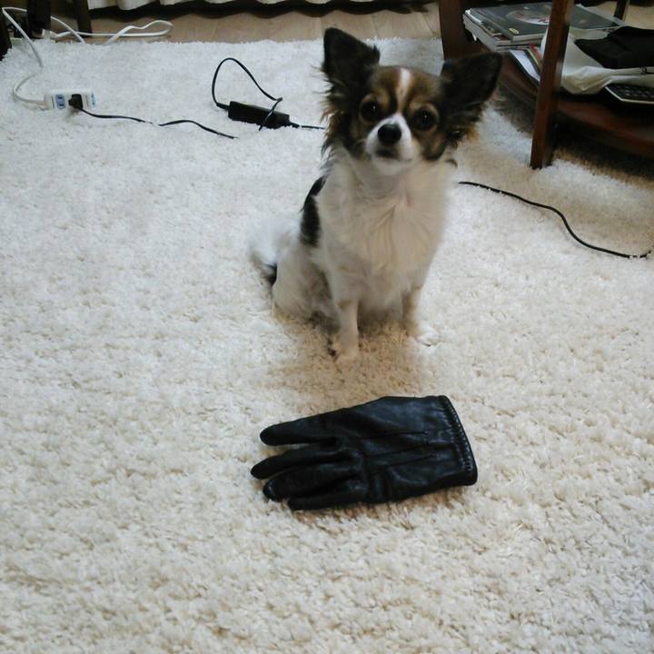 9a52905c 3e96 4b89 88cf badf8ffd52b5