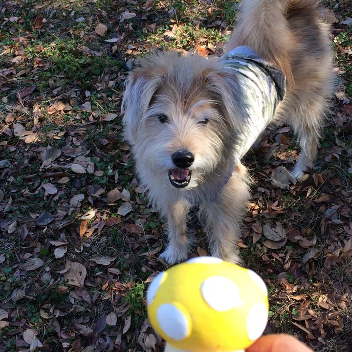 9a53548b f086 445b ab1d e7c17cd02d2c