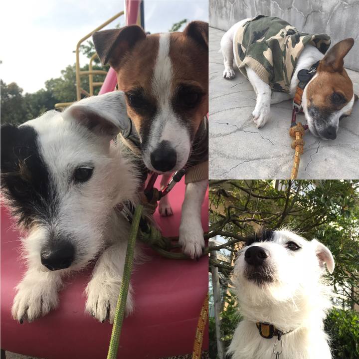 9a536c33 c186 4e55 b47b 7c5224050ddc