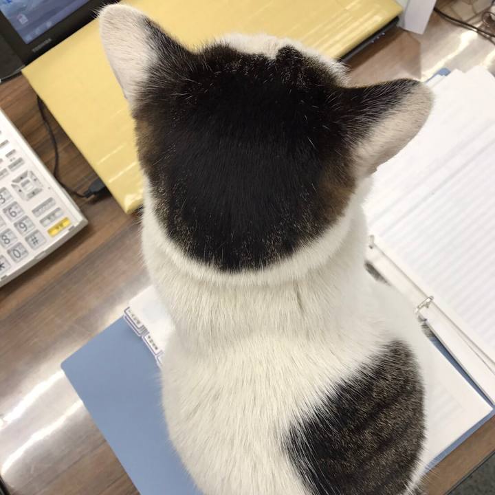 9a539bbe 3dbf 45a4 8afd fa68f97f9893