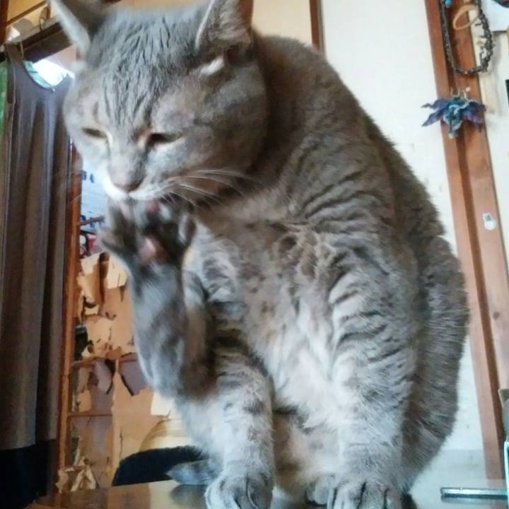 9a541edb 7bbc 4cff 8b26 fbaa0b662e4f