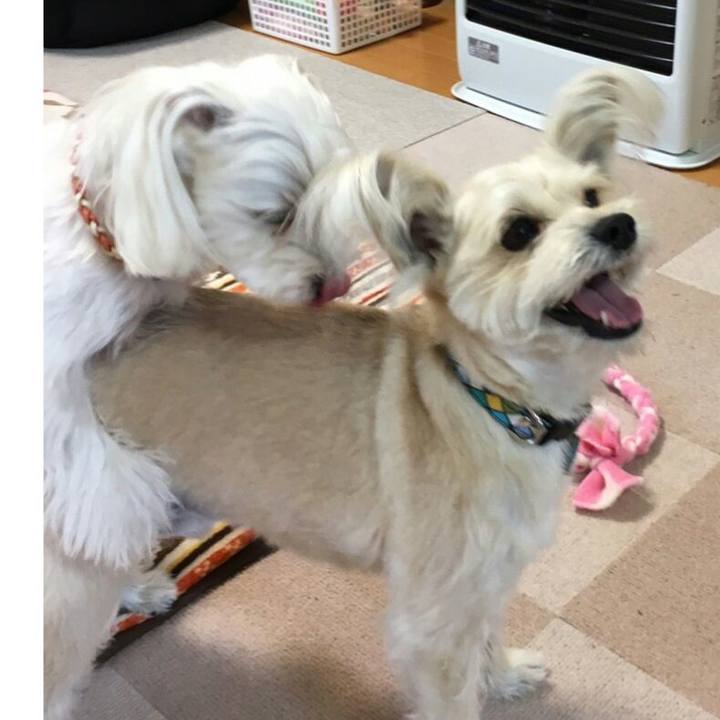 9a542257 d239 41e4 9340 1dadcb06a6e2