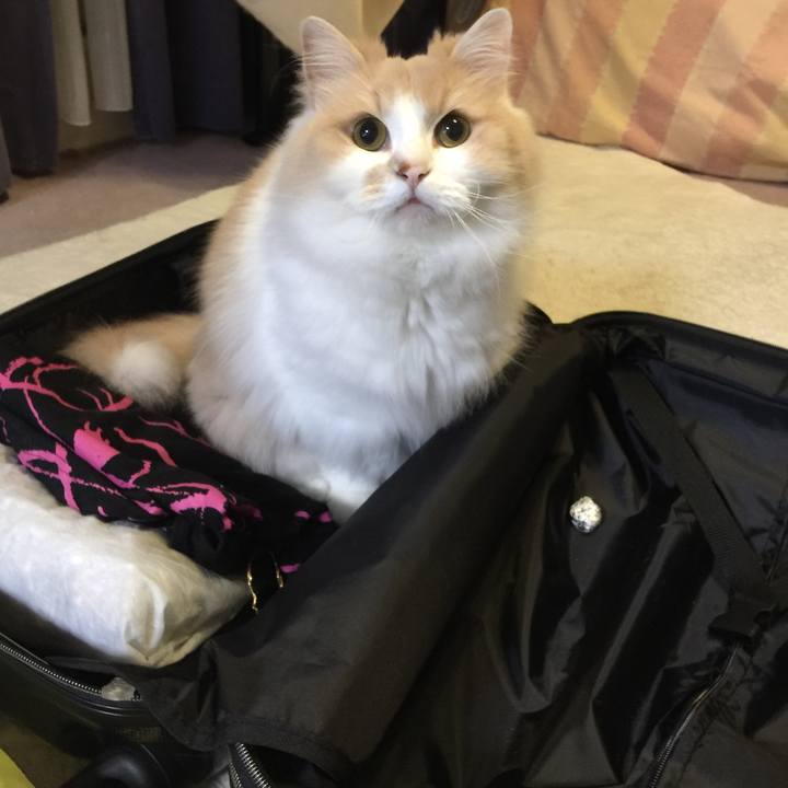 9a5486bb 1cb4 48e5 8b54 dcca14e37318