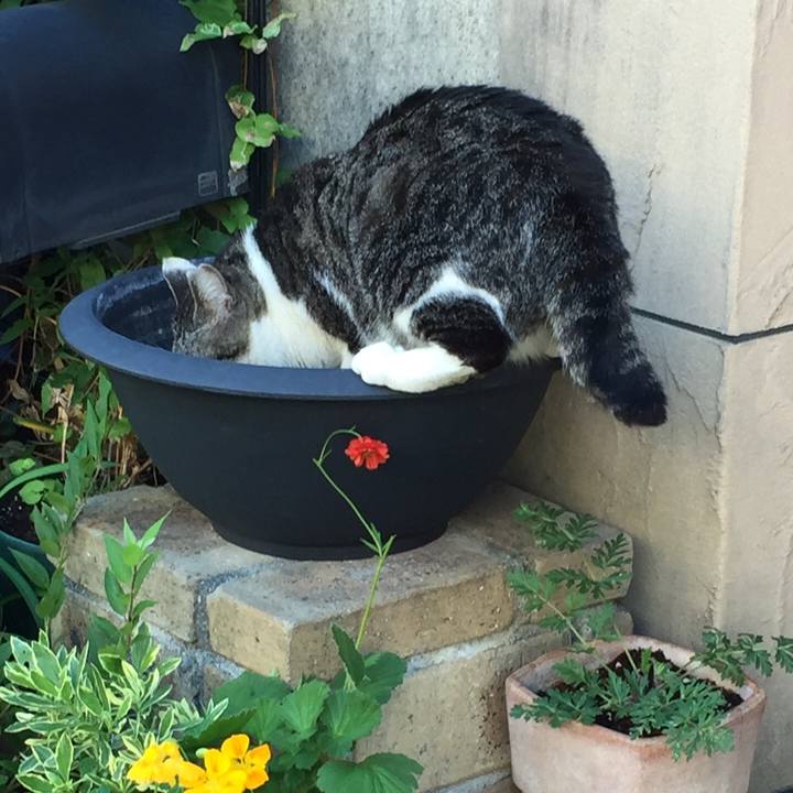 9a5495a9 55f8 4596 9230 3f8710f9c310