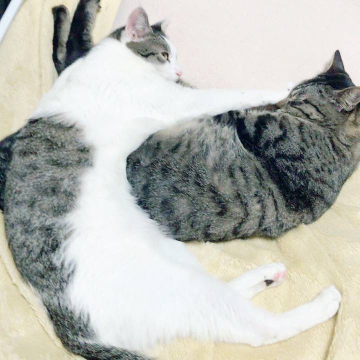 9a553235 2281 4b9c b6df 59a12b2d8ae4