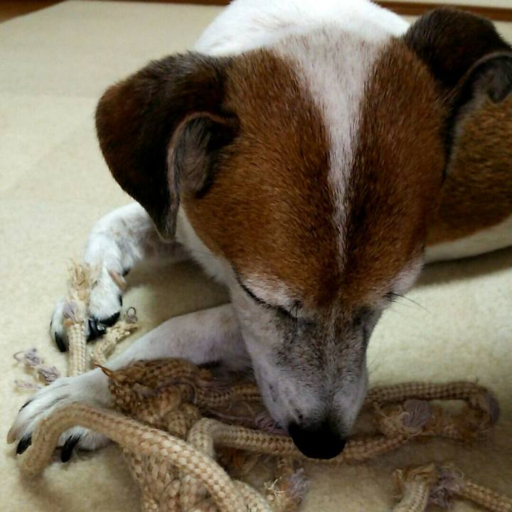 9a558c69 9eb2 49ad 98b6 d6266d545dff