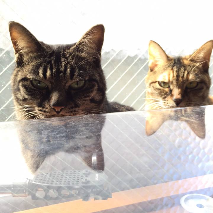 9a55f998 9fb9 470b 8d8a 7aa91a5f46df