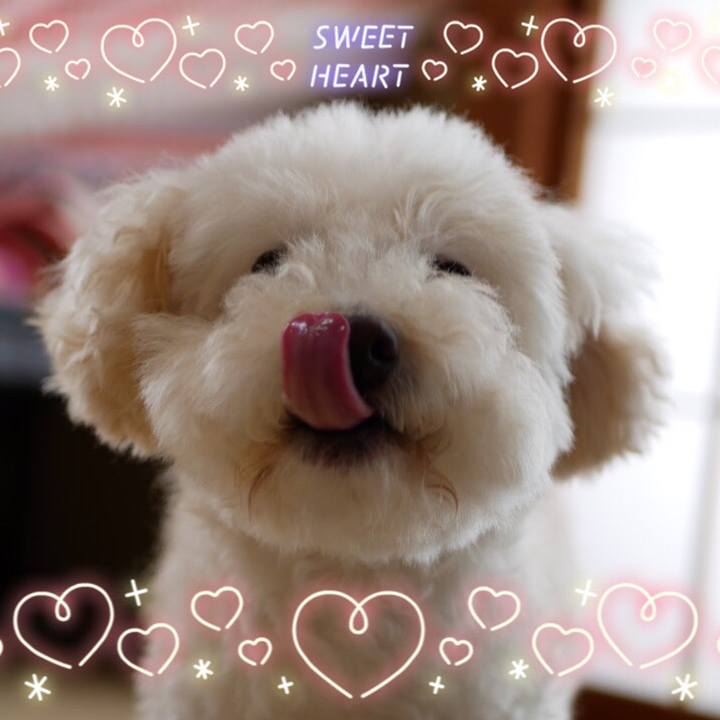 9a5709ab 68e7 40ff 9e61 1c4e61560368