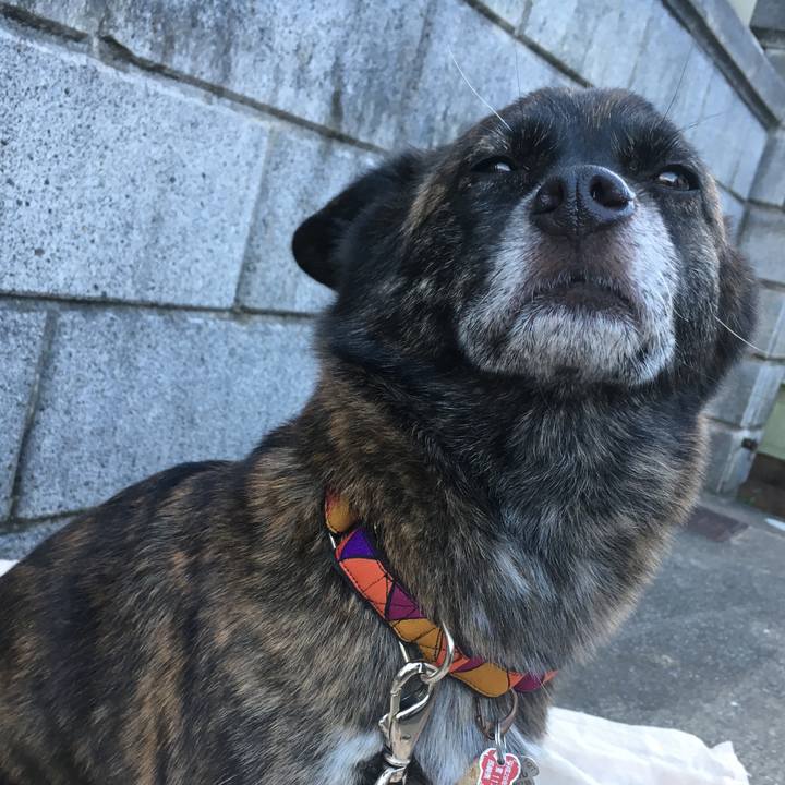 9a572cee 432a 409e b10b c9dc3c36396c