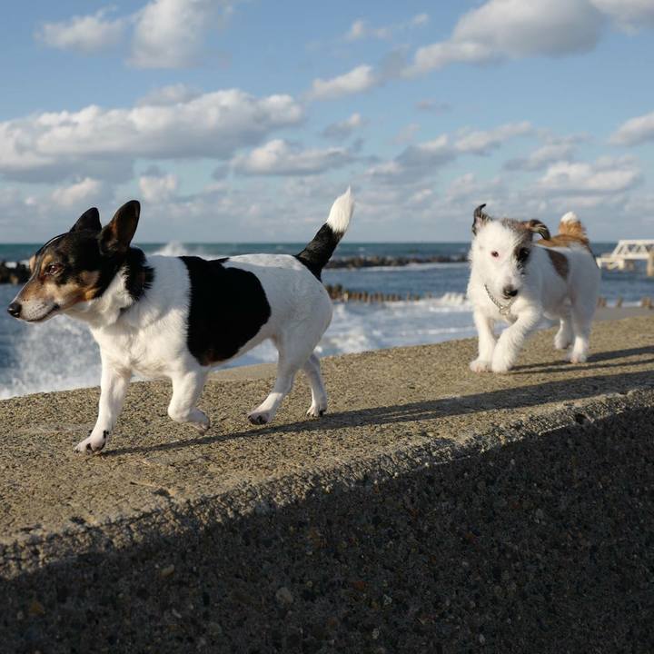 9a588051 90f9 48c3 a49c 3fc3553327ff