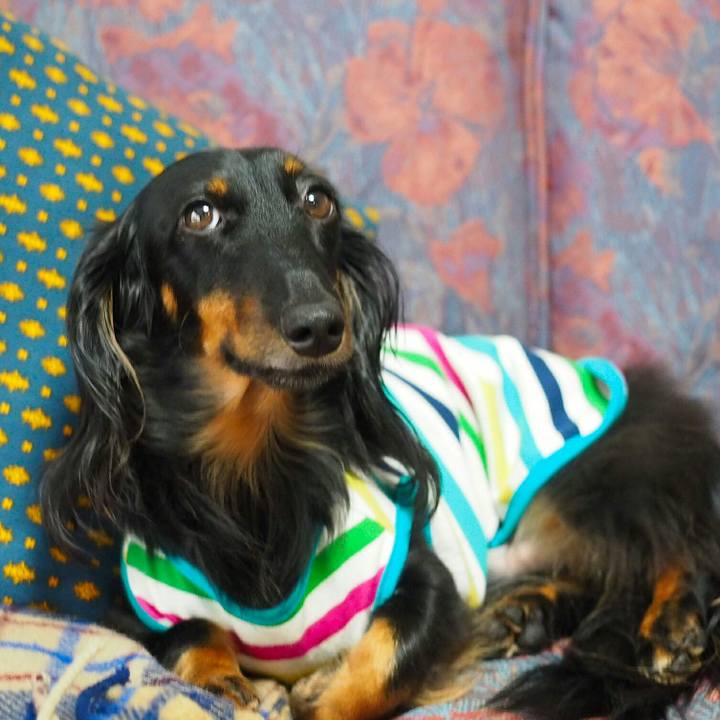 9a5906bd 2a7e 4a30 b436 197645f040f6