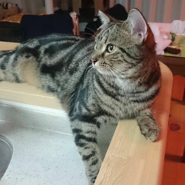 9a59985b 4544 4210 8157 6f65d6c3872c